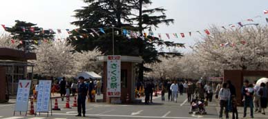 熊谷自衛隊の桜070408・２