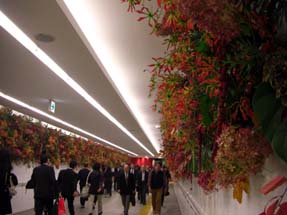 グランスタ　オープン祝のお花