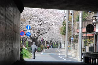 熊谷桜堤08昼間・２