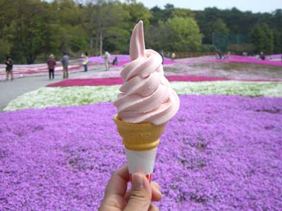 館林野鳥の森の芝桜とソフトクリーム