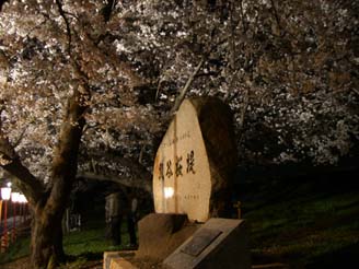 熊谷桜堤の夜桜070404・２