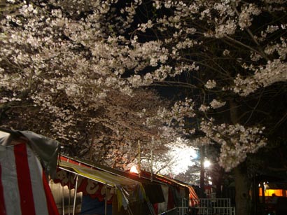 熊谷桜堤の夜桜070404・５