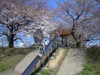 万平公園の桜070330・２