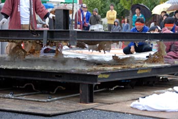 行田ジャンボフライ１９・開いてみると・・・