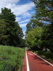 森林公園サイクリングコース