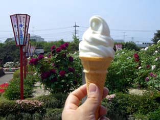 東松山箭弓神社とソフト