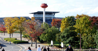 熊谷スポーツ文化公園　紅葉
