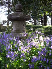 東別府神社のお花