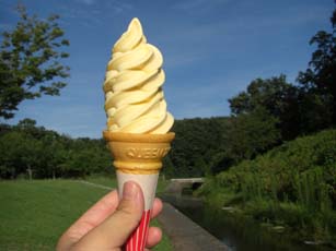 森林公園マンゴーソフト