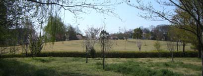 別府沼公園「熊谷の森」