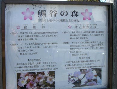 別府沼公園「熊谷の森」解説