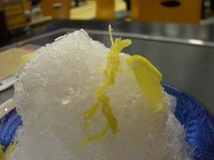 ジンジャーほたる・アップ