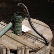 小金井公園・２