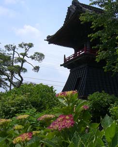 あじさい寺070603・２