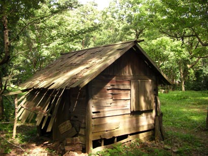 小金井公園・鬼太郎の家１