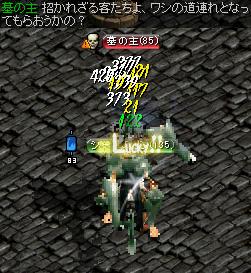 墓の主相手に～.jpg