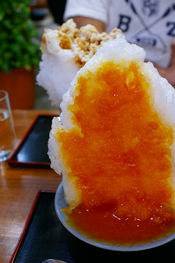 DSC01040.jpg