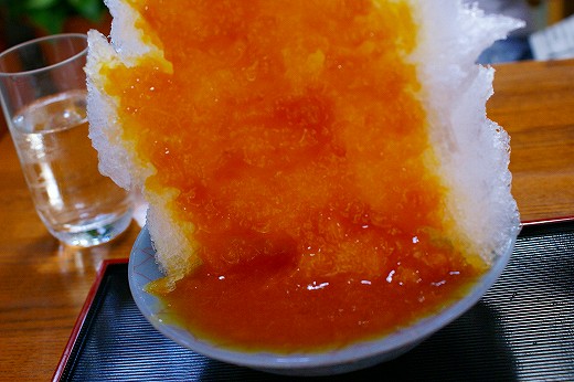 DSC01039.jpg