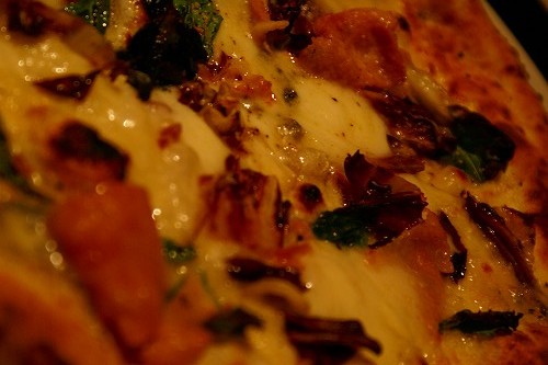 DSC00634.jpg