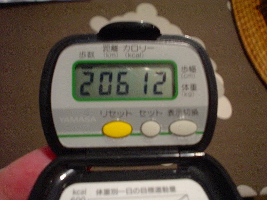 DSC09865.jpg