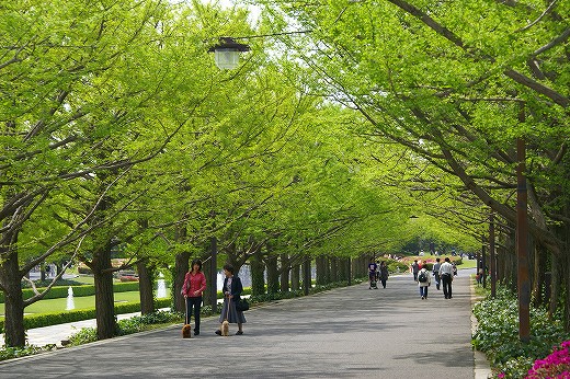 s-DSC06601.jpg
