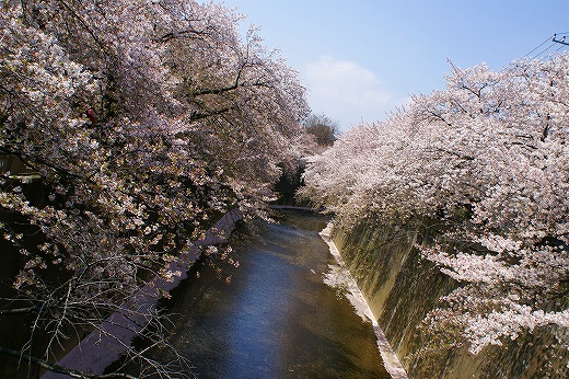 DSC06290.jpg