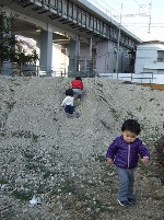梅林３.JPG