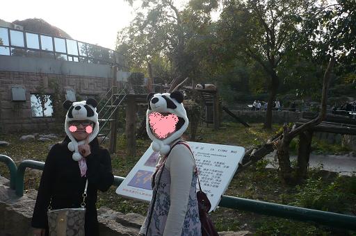 パンダ二人.JPG