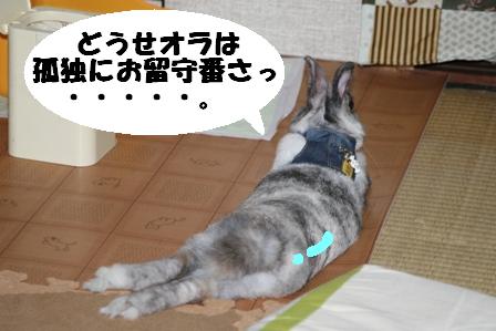 マーブル 1197.jpg