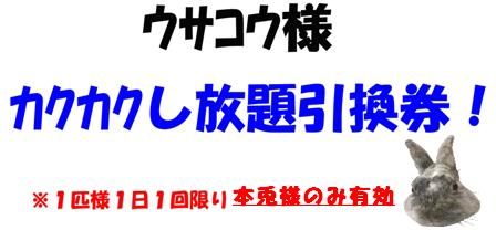 引換券のコピーのコピー.jpg