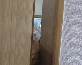 おぉ