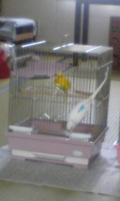 Image004~01.jpg