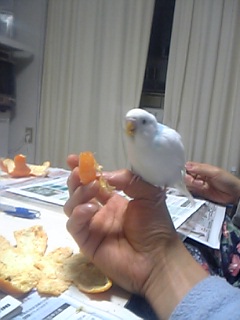 みかんをくれる