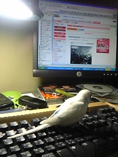 ブログ