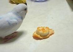 バースデーケーキだ！