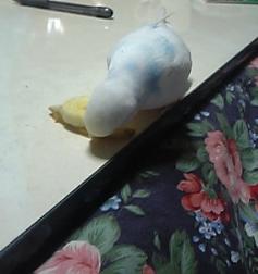 むしゃむしゃ２