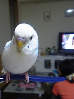 かっこいい