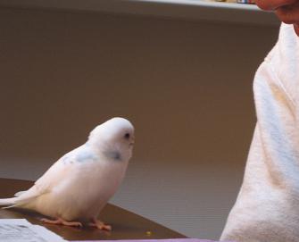 遊ぼう♪