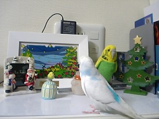 クリスマスだね
