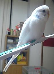 歯磨き４