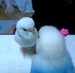 まりん