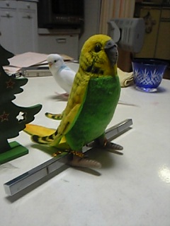 どこ
