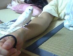 魘される.JPG