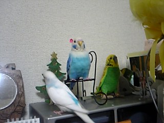 う、うん