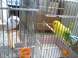 08-02-10_17-21~00.jpg