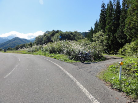 大源太ダート入口