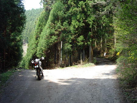 八溝真名畑線分岐