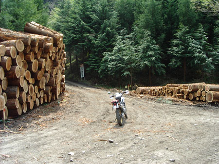 八溝真名畑線伐採場