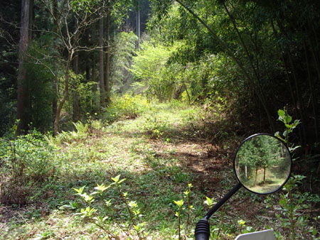 八溝真名畑線終点