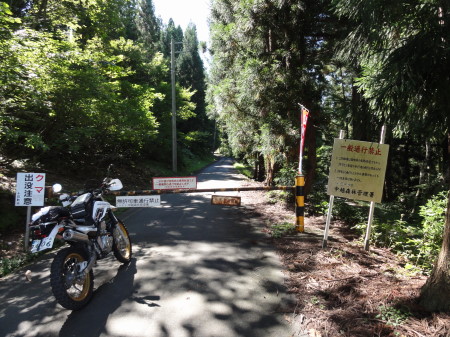 田代林道入口